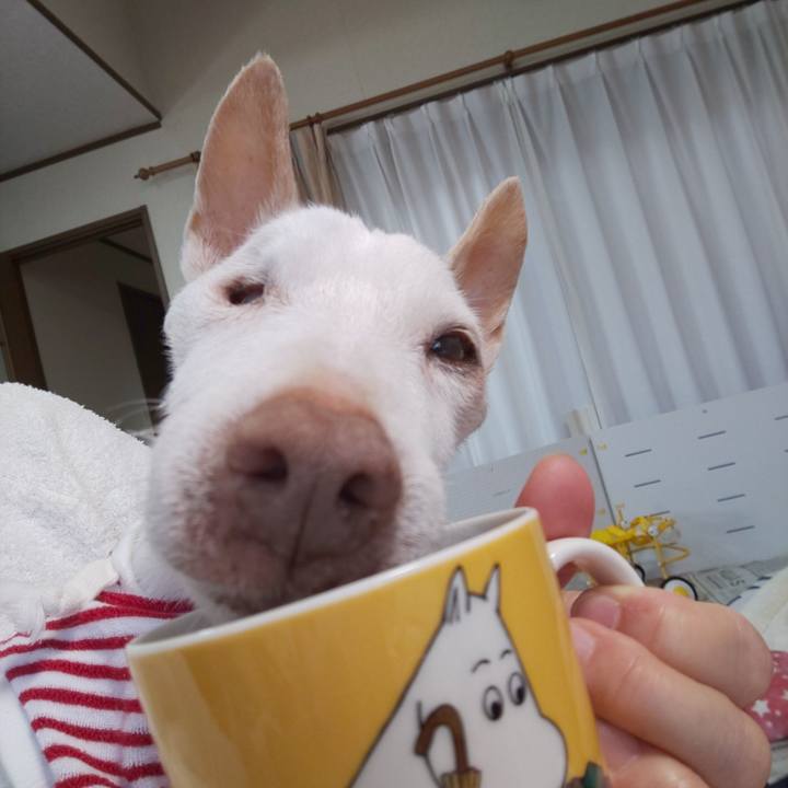 99d48760 860c 4c76 8de2 620821b516af 1603495826427