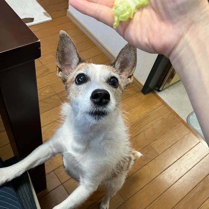 99d4afb4 5761 465c a956 64da76e6ffaa 1726359348983