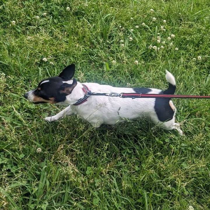 99d4caea 75a4 4be9 ba6a e8db882932ef 1716808512278