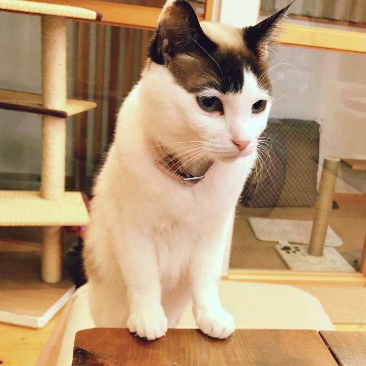 99d52fb1 43b1 476e bdbe 593a2c0581f9 1521719853000