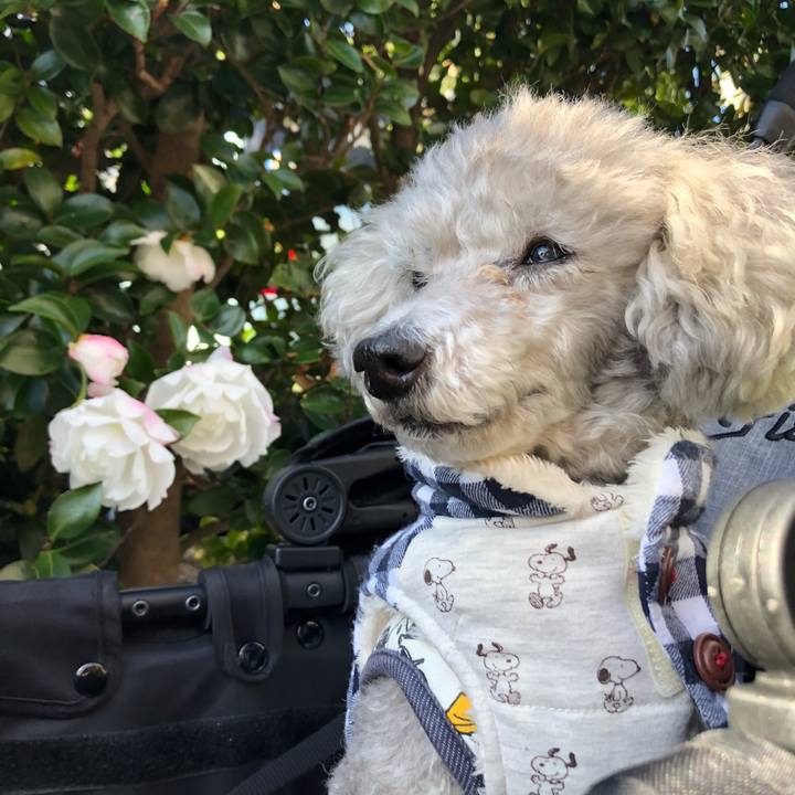 99d55698 9224 46dc 8af2 3d94576547eb 1577093049199