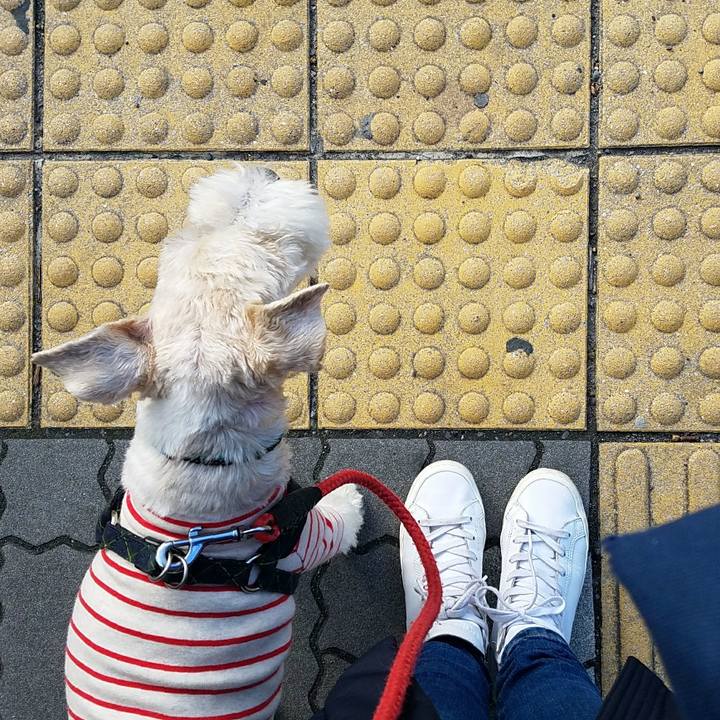 99d59467 f1ec 4cda a0a6 69a12be4d3e5 1517649305700