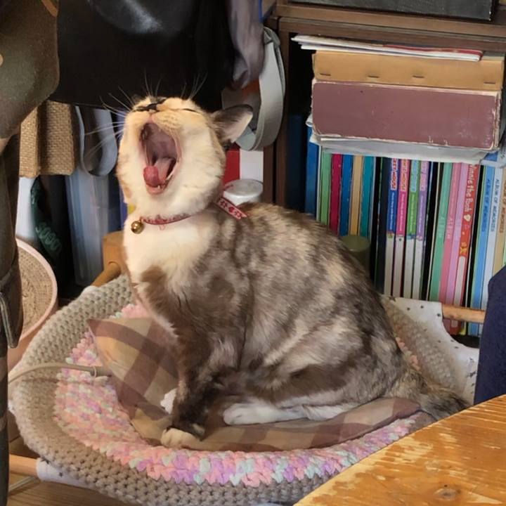 99d5abb4 d8da 422c be59 8282599f40cf 1775756972290