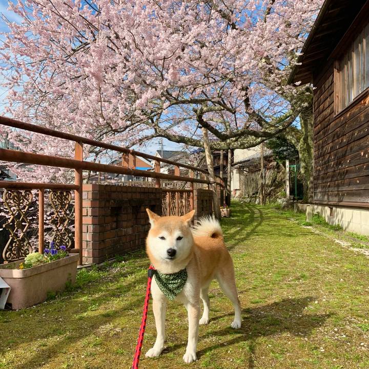 99d5afb6 6118 470c 9f6a 95e8692a26fa 1679914606870