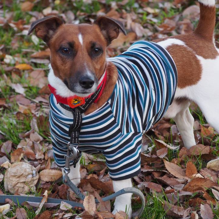 99d5ba86 bb0f 4638 b007 f61af24e1d06 1513123388300