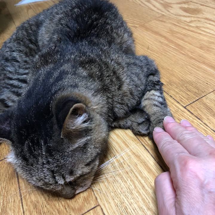 99d5e4e3 4e55 448e 963a 31d673b95f49 1534082982982