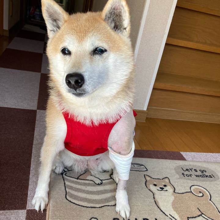 99d60b76 d924 44a2 a1de 76fe09954bd5 1638018127485