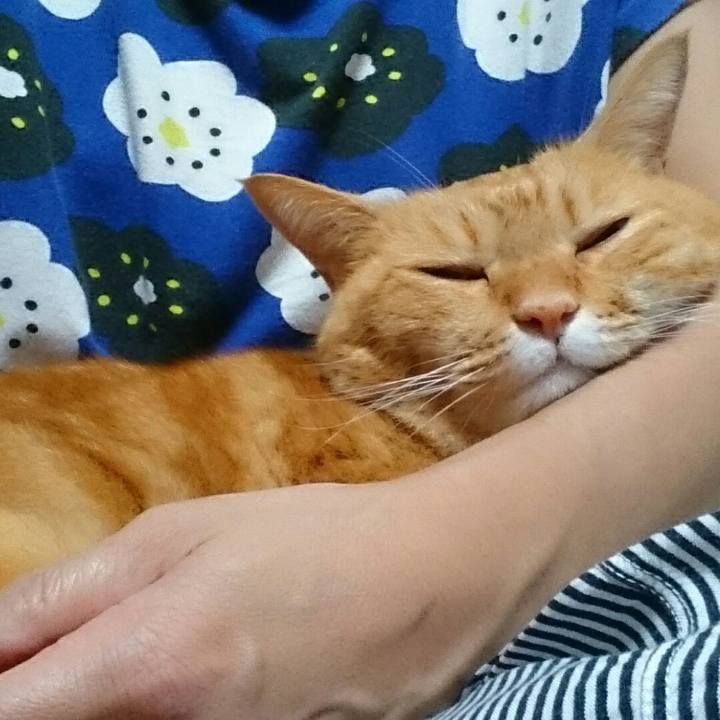 99d6191d 105f 4e4d b016 2b9be529f9a9 1507735950663