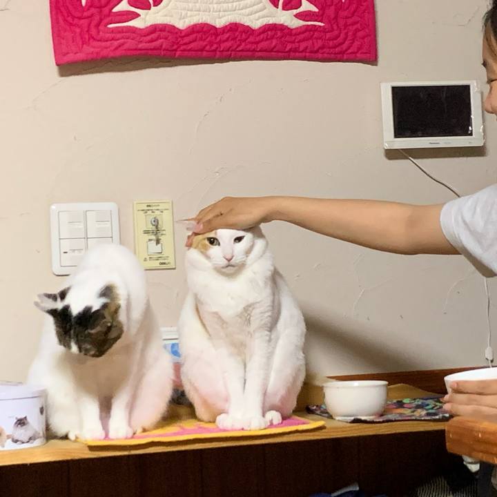 99d62bd2 7075 40c2 9313 3179ec69be05 1617400477747