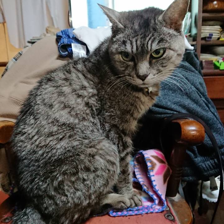 99d63619 d2cd 41de 9df3 175e121bc0ec 1575364074144