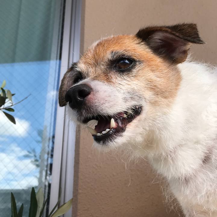 99d6539e 25e8 49a0 aedf 89909d22d7da 1599699613253