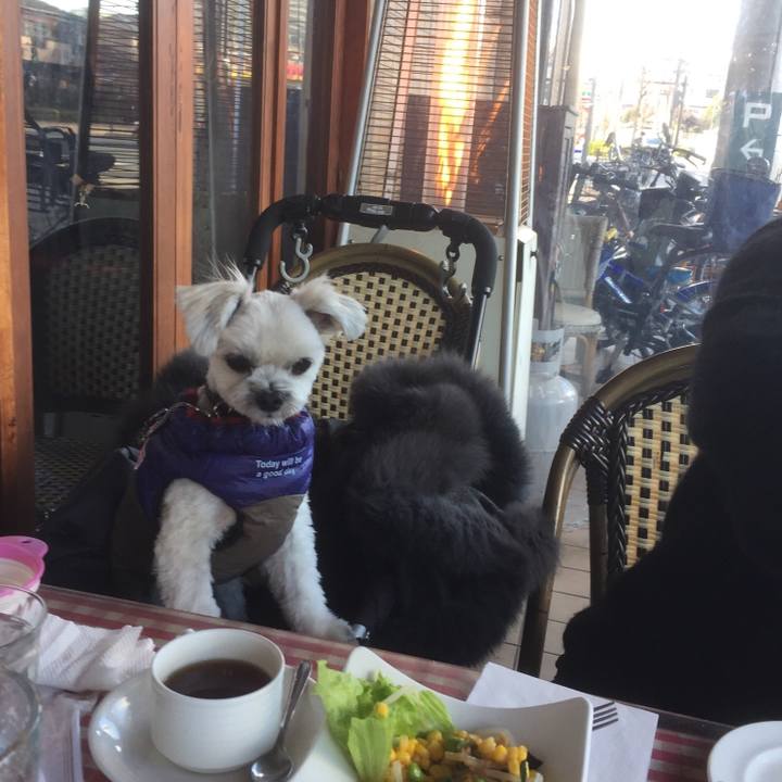 99d6bbe7 40cb 48c0 99bf e066ba0ad634 1513502736866