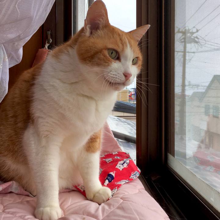 99d6fa63 0210 417e 8007 4a75a8bc9e0a 1590294330624