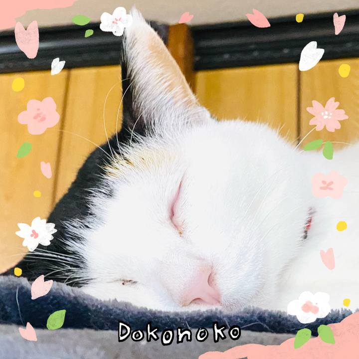 99d77aee 028d 4ea2 b09e 4aaff8ebf141 1711022788753