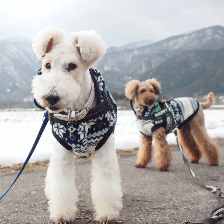 99d7bbd3 db13 4fe4 9e04 576f320567d3 1548888064696