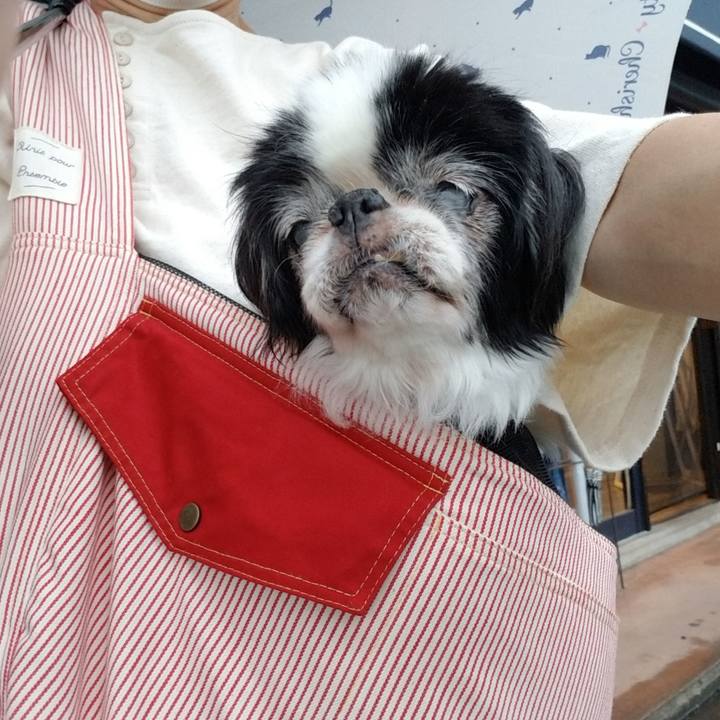 99d7d98d 32bf 4630 a69a 961489ecb216 1630751875598