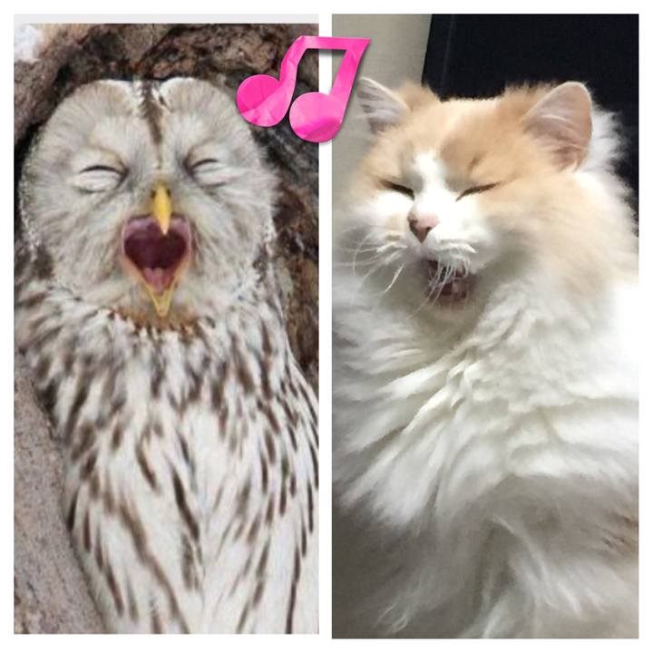 99d7e442 ecf0 4b1c b022 5f0d468bed96 1514538192706