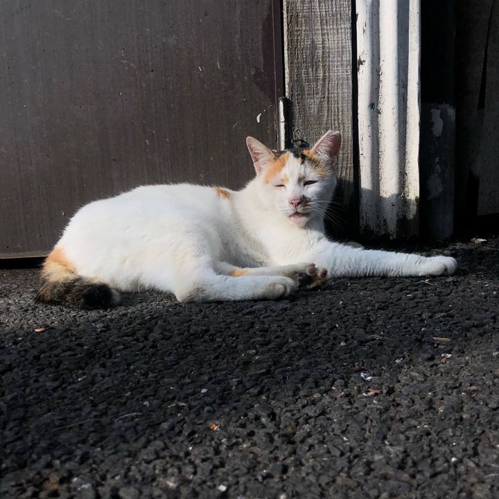 99d8048e 5193 4b73 a06d b74b9a496f01 1599976854433