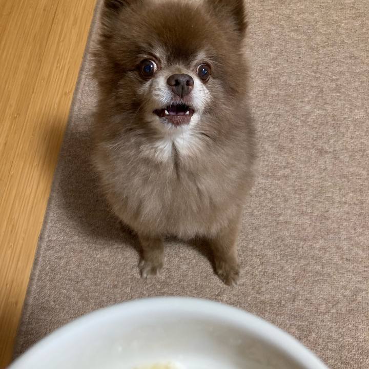 99d85aaf 8b9d 4101 bf28 ef8e636f8770 1664332825578