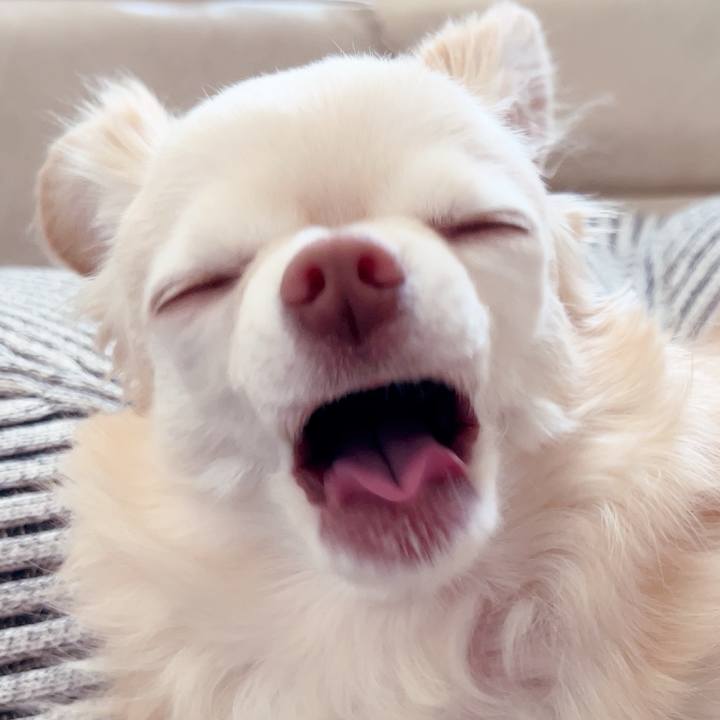 99d863be 0cd3 4be3 b66b b5332e69874c 1753187014230