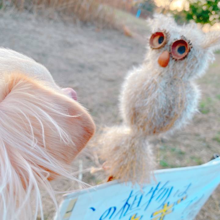 99d870e7 c903 43b6 bcb3 de9d526a4754 1637142874627