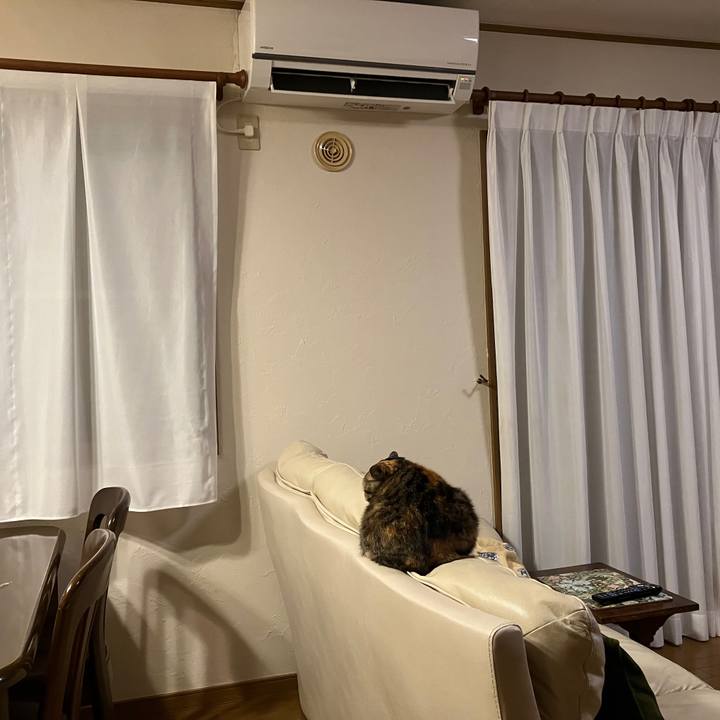 99d87d4e 41d1 4851 adaf 1a4f50be83a8 1762292065572