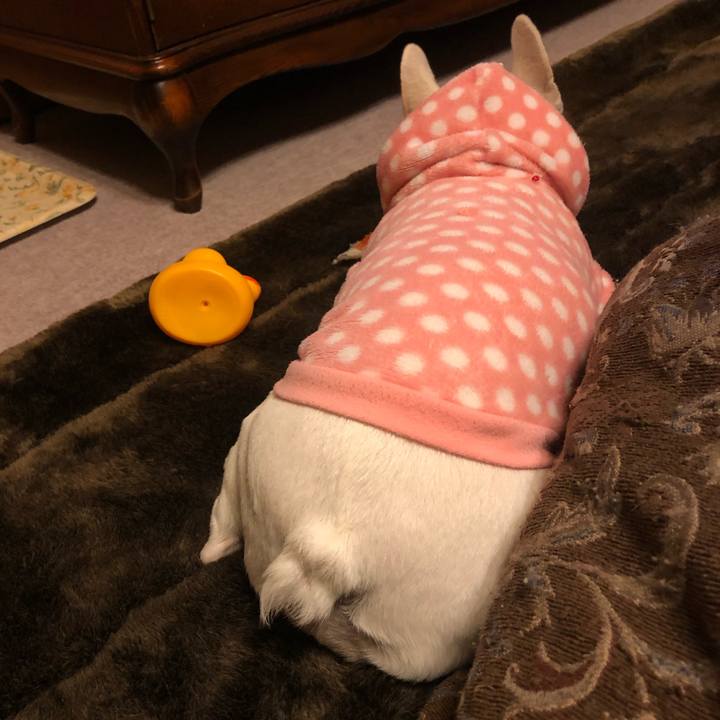 99d87fd3 2f5e 403f 951e d190f684ebe8 1610026726497