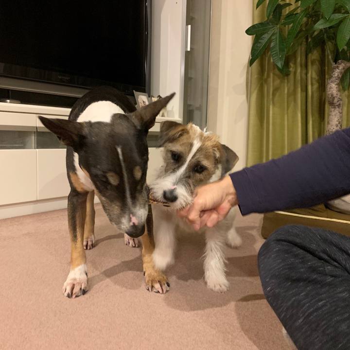 99d880f2 7066 4ce2 833c ea25124fdc91 1575027876094