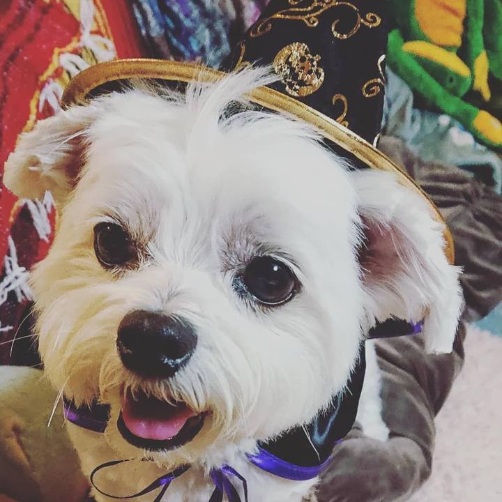 99d8839a 52ad 4d8d 9dea c8bb3727a2b3 1603856464458