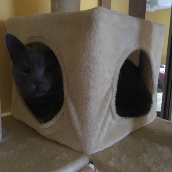 99d885eb 175e 4398 a9a6 ae5d695f6828 1633651532697