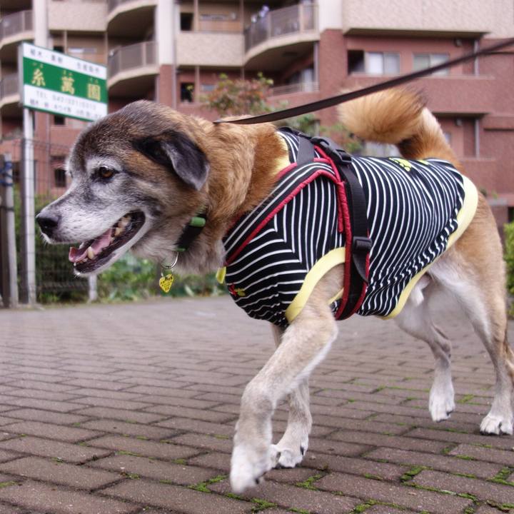 99d8ad1e c4d7 4a9b 9c01 36033fdfb7f2 1571529839791