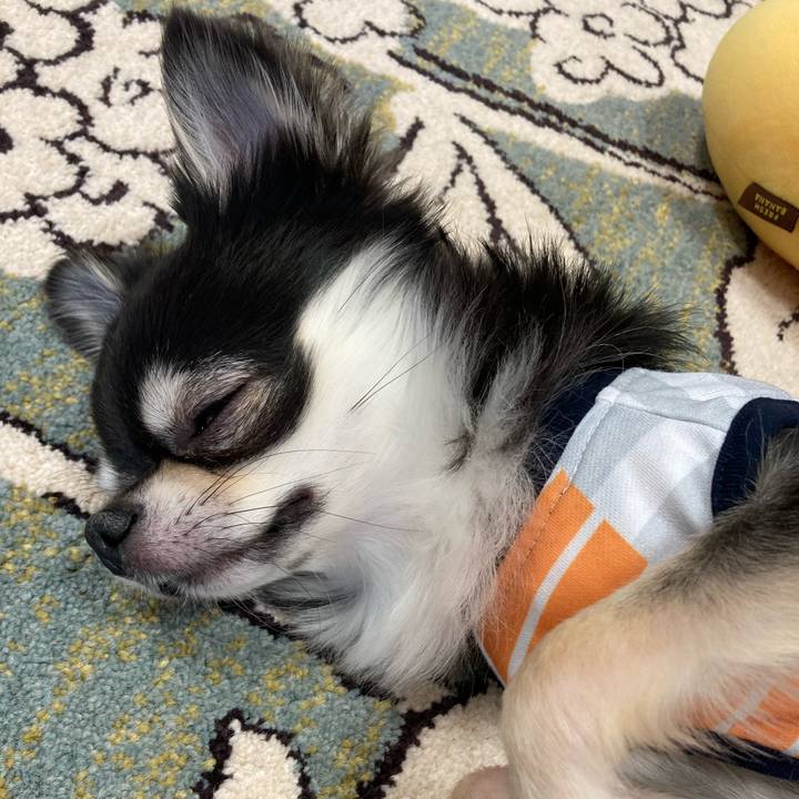 99d8b822 7b70 493c bbfa 2e47d7b4aff8 1619844542224