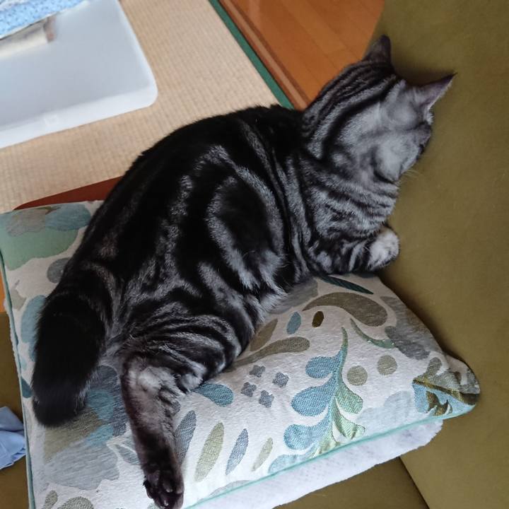 99d8c44d 5096 40ae 844b e0048b2d878d 1553735080554