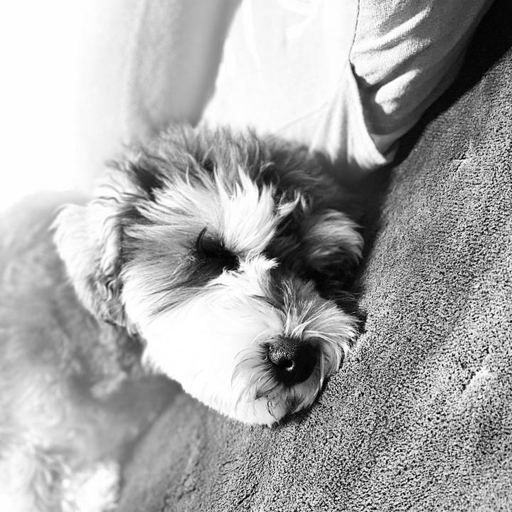 99d8e52a 5d5b 4e7c b69c d2b7ae2f0d5e 1586622689531