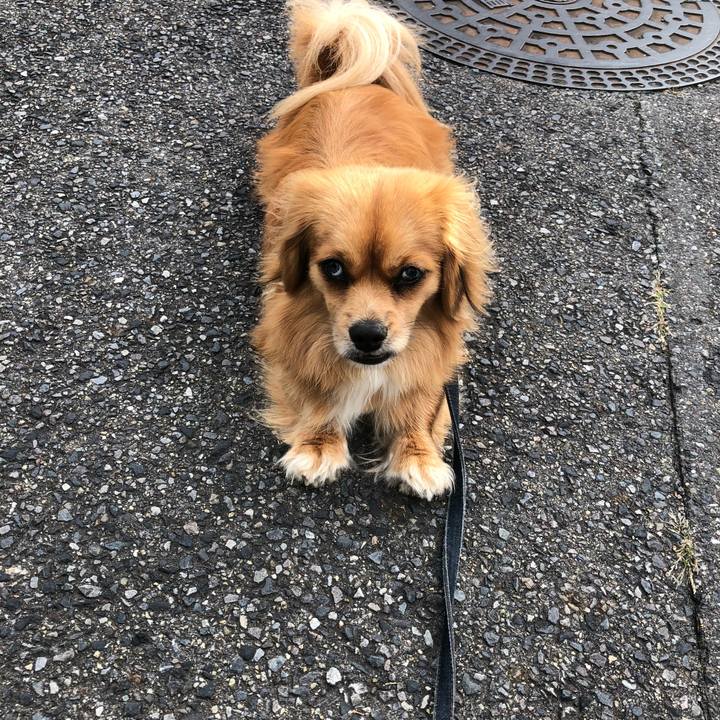 99d8fb4c 3828 4a9b 9797 d450a4b7c49d 1530566694444