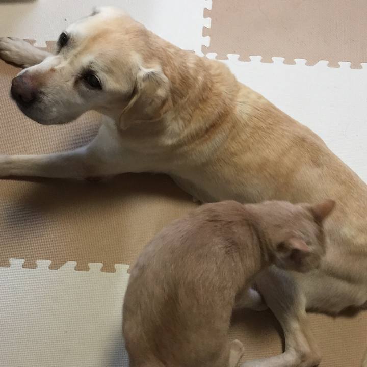 99d91ca4 3a9a 4f82 b3f0 72c4cc172553 1522835420911