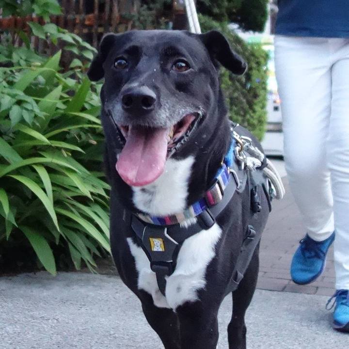 99d92363 7c0b 450c b2b7 be1f06d39316 1658141804281