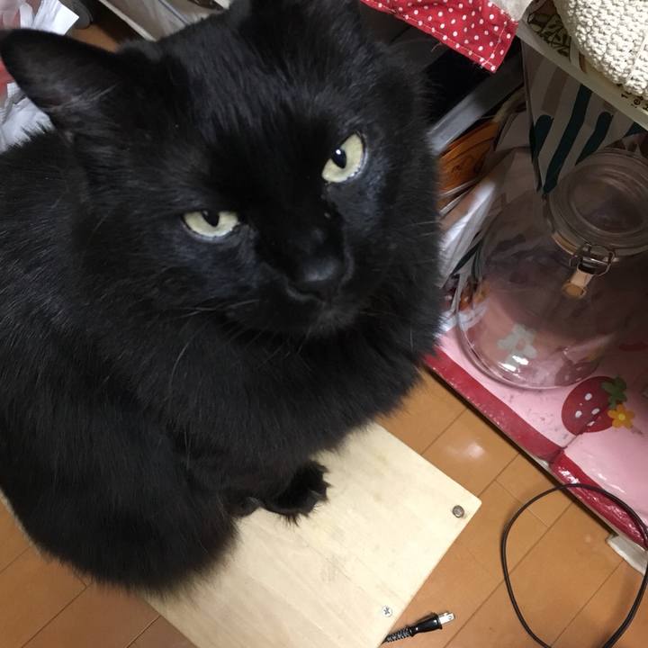 99d934cf 2a05 44e5 b475 96ef1097fc9a 1519302616553