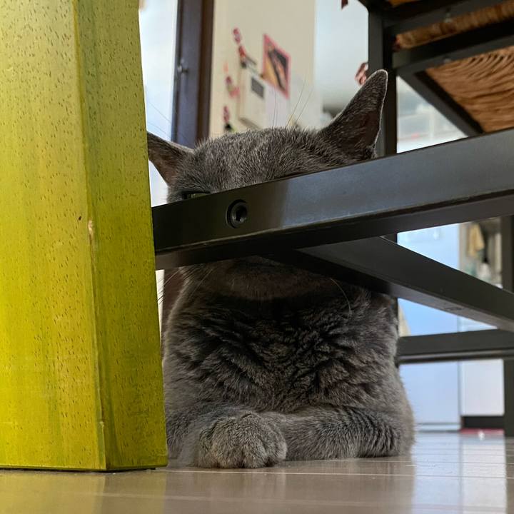 99d940ec c219 4923 bef1 58443708c1df 1599278001152