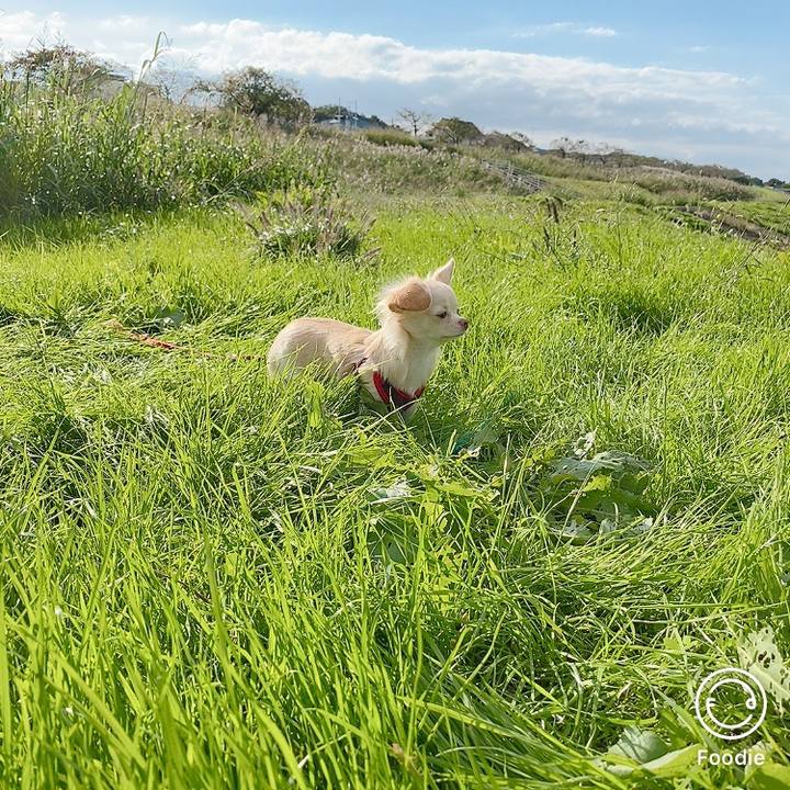 99d94fd3 df62 45f7 b62c 903faba04d32 1603271881804