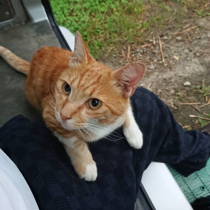 99d95331 ec6e 4807 b542 d06aebc8f49c 1596834583431