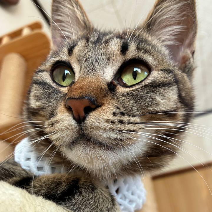 99d961f2 4b73 42dc 9f89 2d98c34c51f5 1752273564577