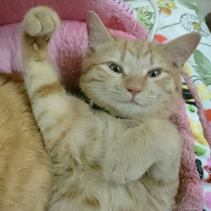 99d96e48 27a4 4416 84d1 bc86d5fb0683 1544831028442