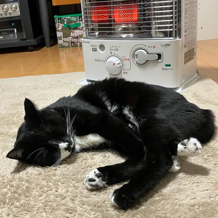 99d98a2a c6de 4a23 bd24 f0cb30f2ec8b 1738298490008