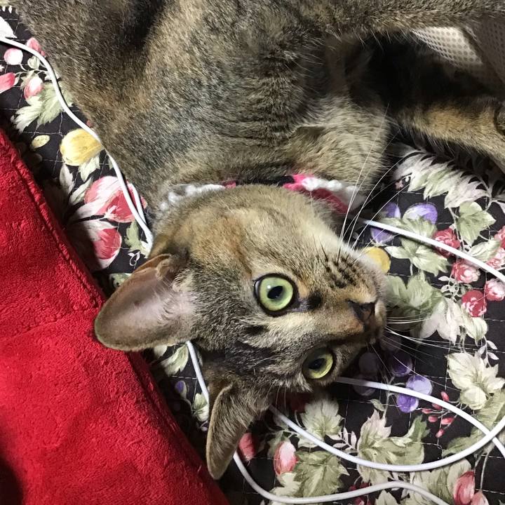 99d993b3 3aee 4e97 88a6 8a7557745fe7 1595737452781