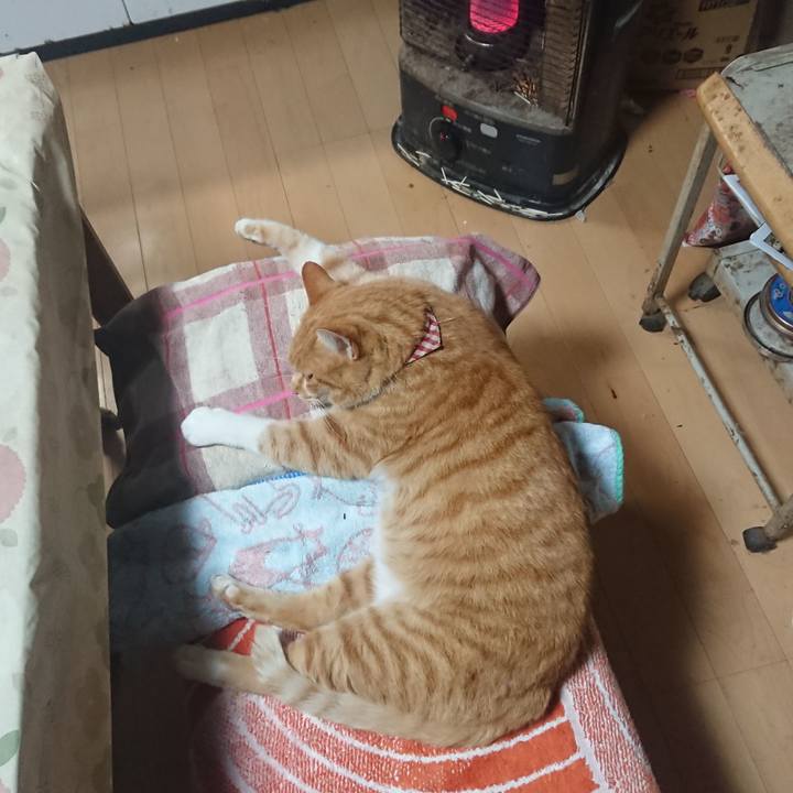 99d9a743 9caf 4b28 86a1 ee51a3af8d8e 1604958812771