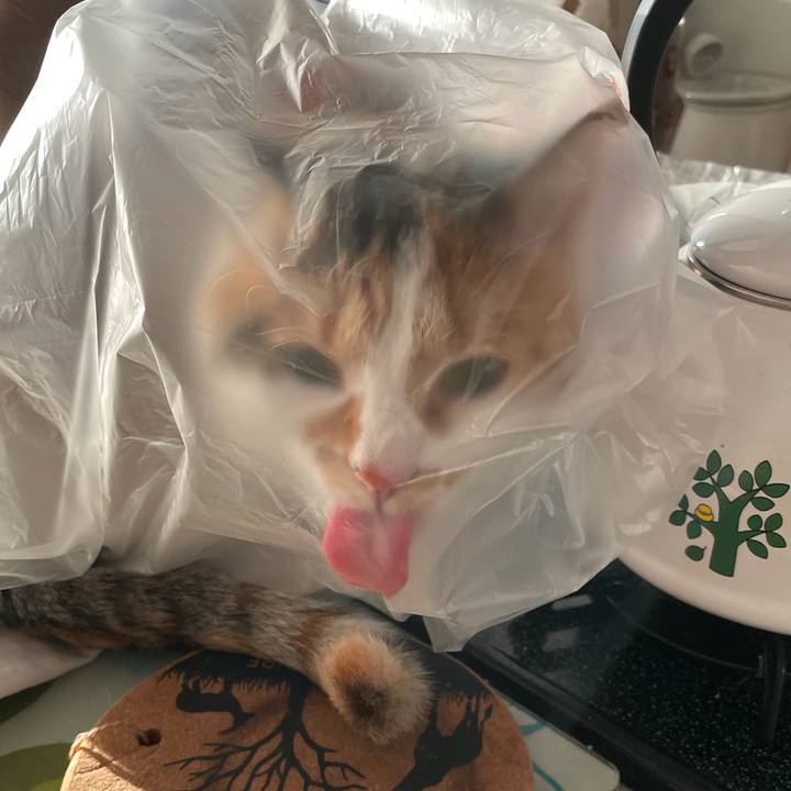 99d9acc1 eef8 499c bc56 2d3315fcec26 1614250463638