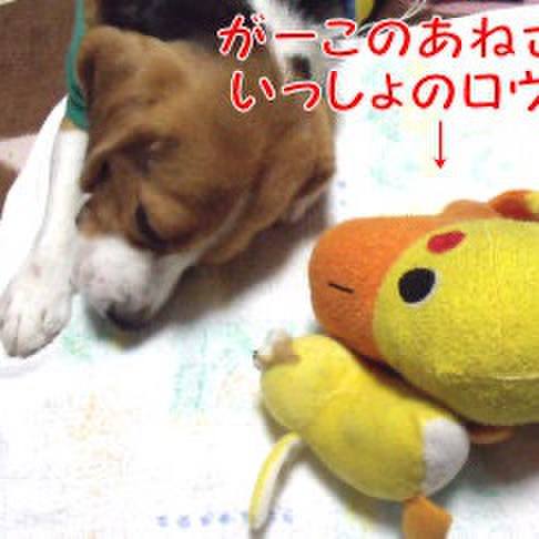 99d9bbf1 f738 4db8 ae35 bea821b748d2 1712017523950