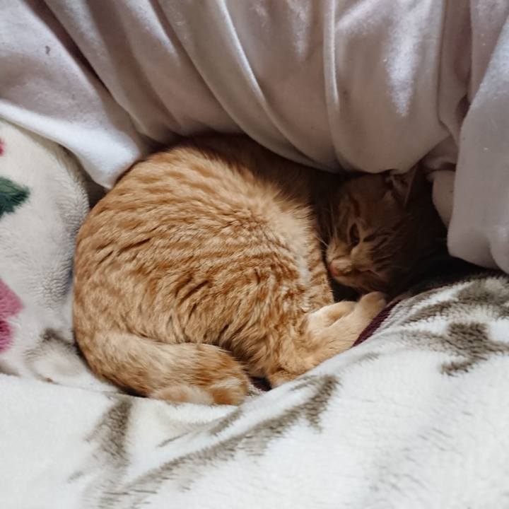 99d9d545 d826 4798 843b 73cf4e5b27ff 1640607661246