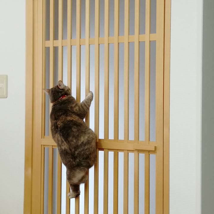 99d9e8f1 bfb4 4681 be5e e2331a11a5c5 1518056539523